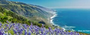 Read more about the article Seaside Serenity: Exploring Enchanting Coastal Towns in California – 5 Locations