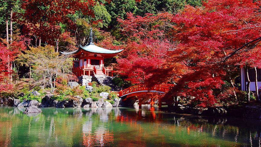 Read more about the article Exploring Tranquility: A Guide to Kyoto Japan Temples – 4 Tips