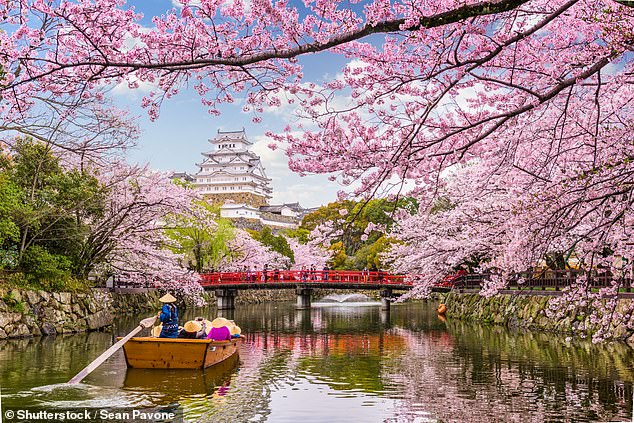 Kyoto Japan temples - Nature's Palette