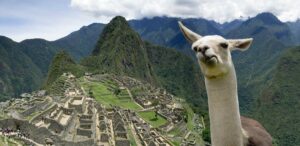 Read more about the article Unveiling the Mystique: Machu Picchu Travel Guide – 6 Insights