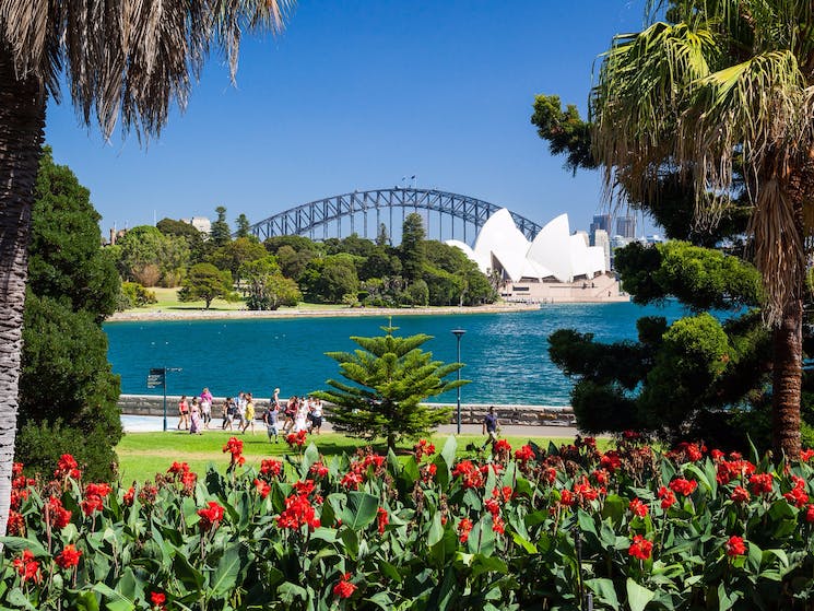 Sydney Australia sightseeing - Royal Botanic Gardens