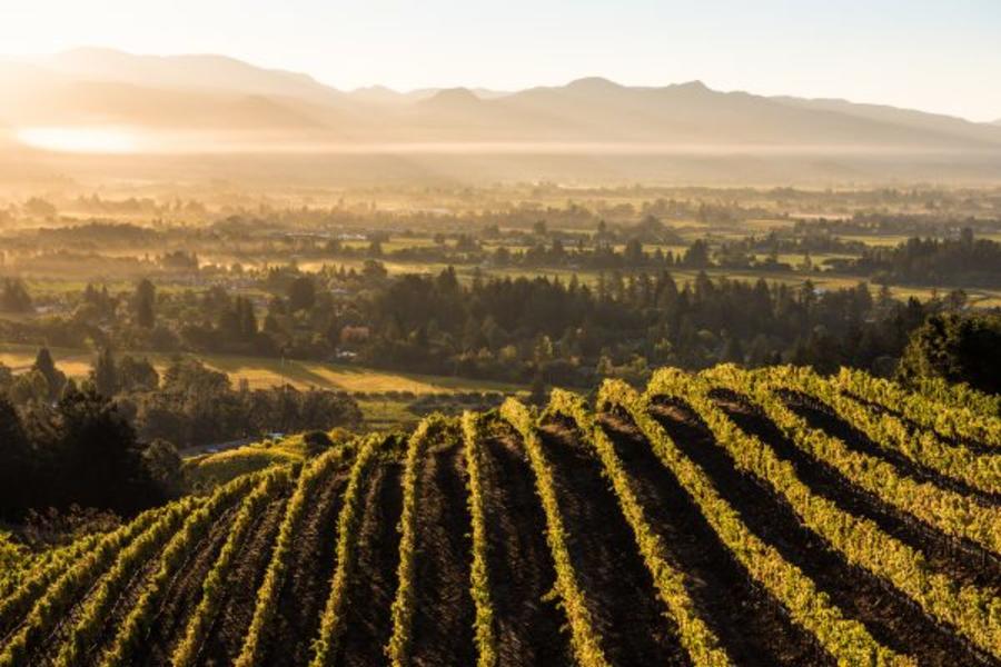 Weekend getaways in California - Napa Valley