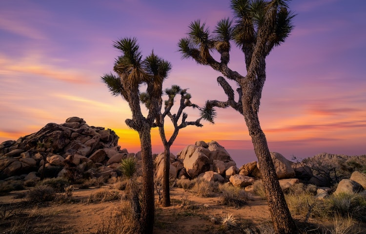 
Best places to visit in California - Deserts Regions